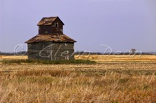 Purves area farm
October 2005